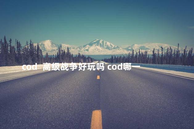 cod  高级战争好玩吗 cod哪一部最好玩